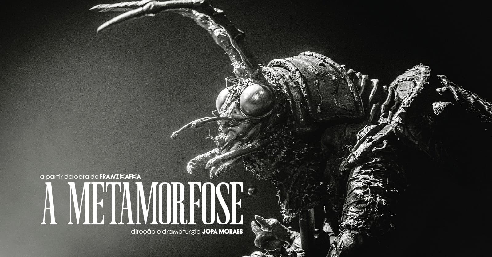 A METAMORFOSE (30/10, sexta-feira)
