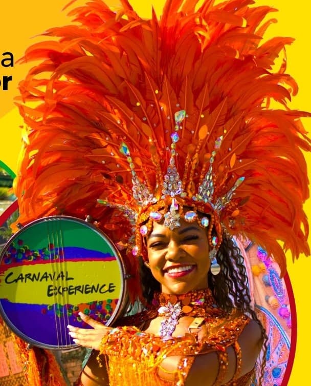 Passeio RJ: carnaval carioca+ingresso+fotos de fantasia+samba com passista